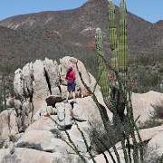 IMG 0021 (2)